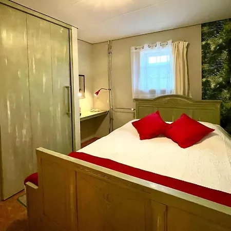 Het Houwershuuske Dom wakacyjny Reijmerstok